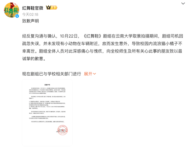 《红舞鞋》剧组高校内拍摄时撞死流浪猫？凌晨致歉：涉事司机引咎辞职