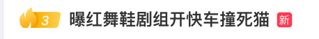 《红舞鞋》剧组高校内拍摄时撞死流浪猫？凌晨致歉：涉事司机引咎辞职