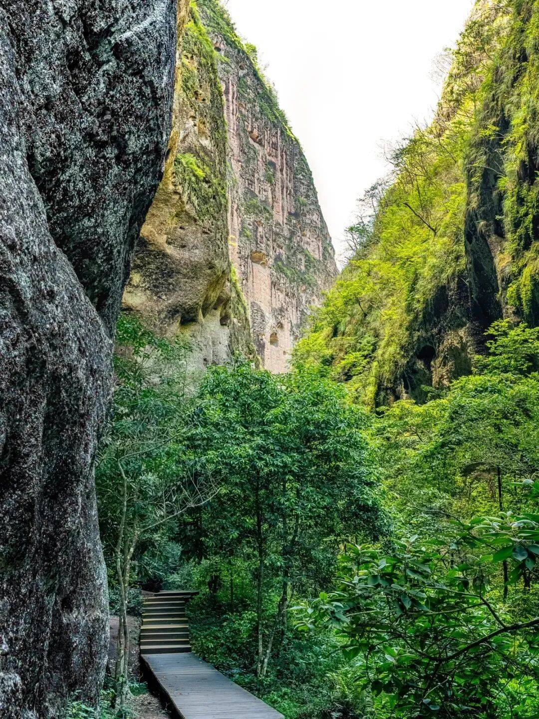 闽北山水之旅武夷山