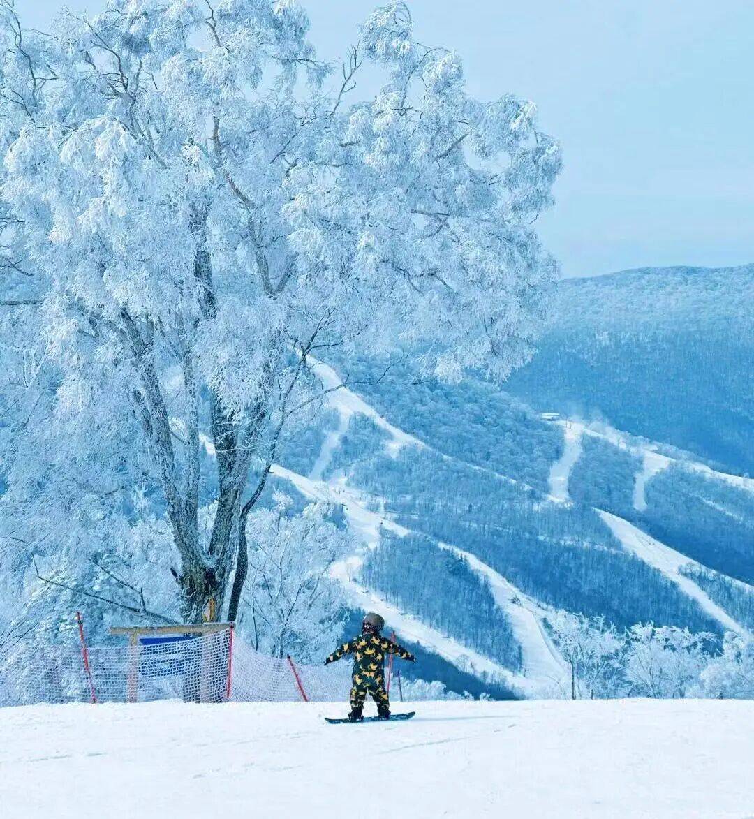 15—21东北爆款看雪首推顶配体验