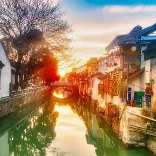 九九重阳：九大习俗，九种祝愿_菊花_茱萸_九月
