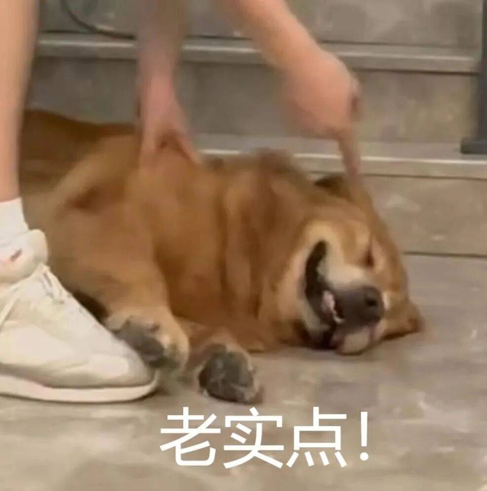 为了吸引你买手机，厂商们已经开始在参数页上动起手脚了