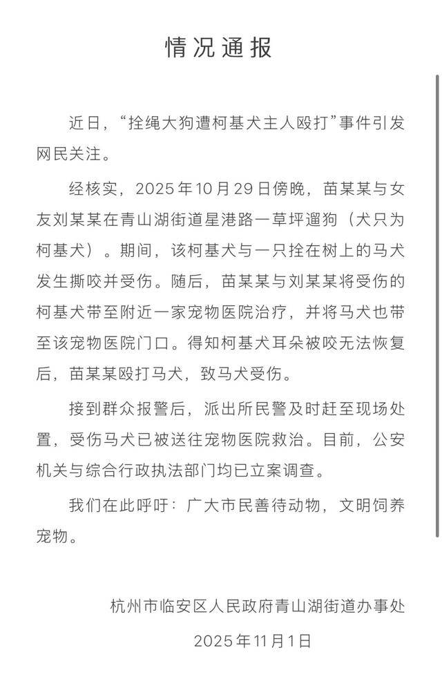 拴绳大狗惨遭柯基主人砸酒瓶爆头,杭州官方最新通报:已立案调查 拴绳大狗惨遭柯基主人砸酒瓶爆头,杭州官方最新通报:已立案调查