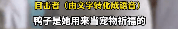 养了四年的宠物鸭被汽车碾死,老太太当街包鸭痛哭,目击者:她老伴重病,鸭子是用来祈福的 养了四年的宠物鸭被汽车碾死,老太太当街包鸭痛哭,目击者:她老伴重病,鸭子是用来祈福的