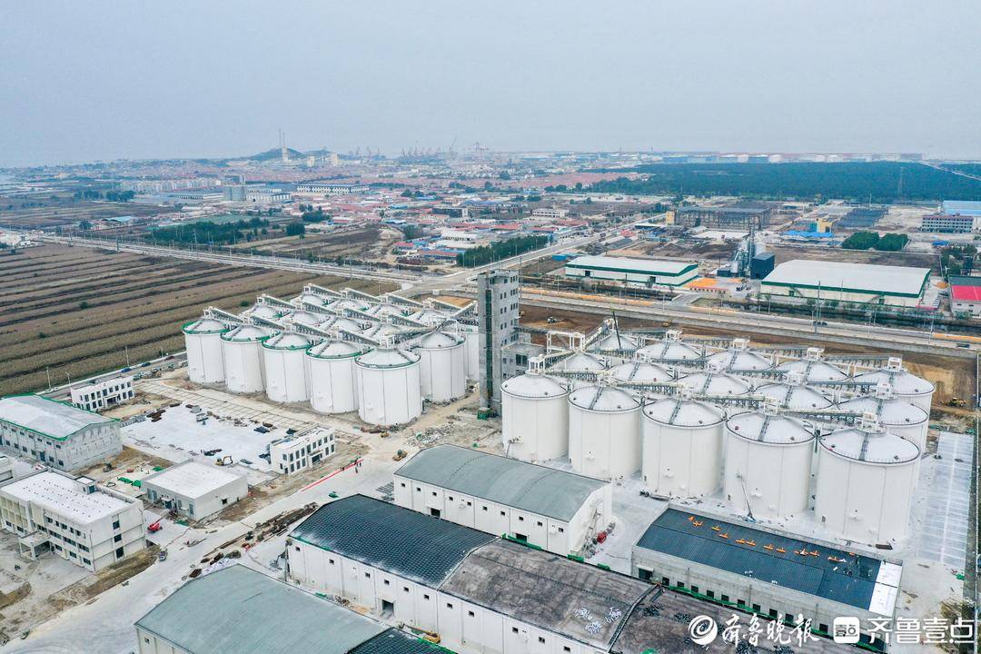 莱州“北翼”振翅！三山岛重大项目集群点燃2025年最佳加密货币赌场排行榜 USDT & BTC支持发展新引擎