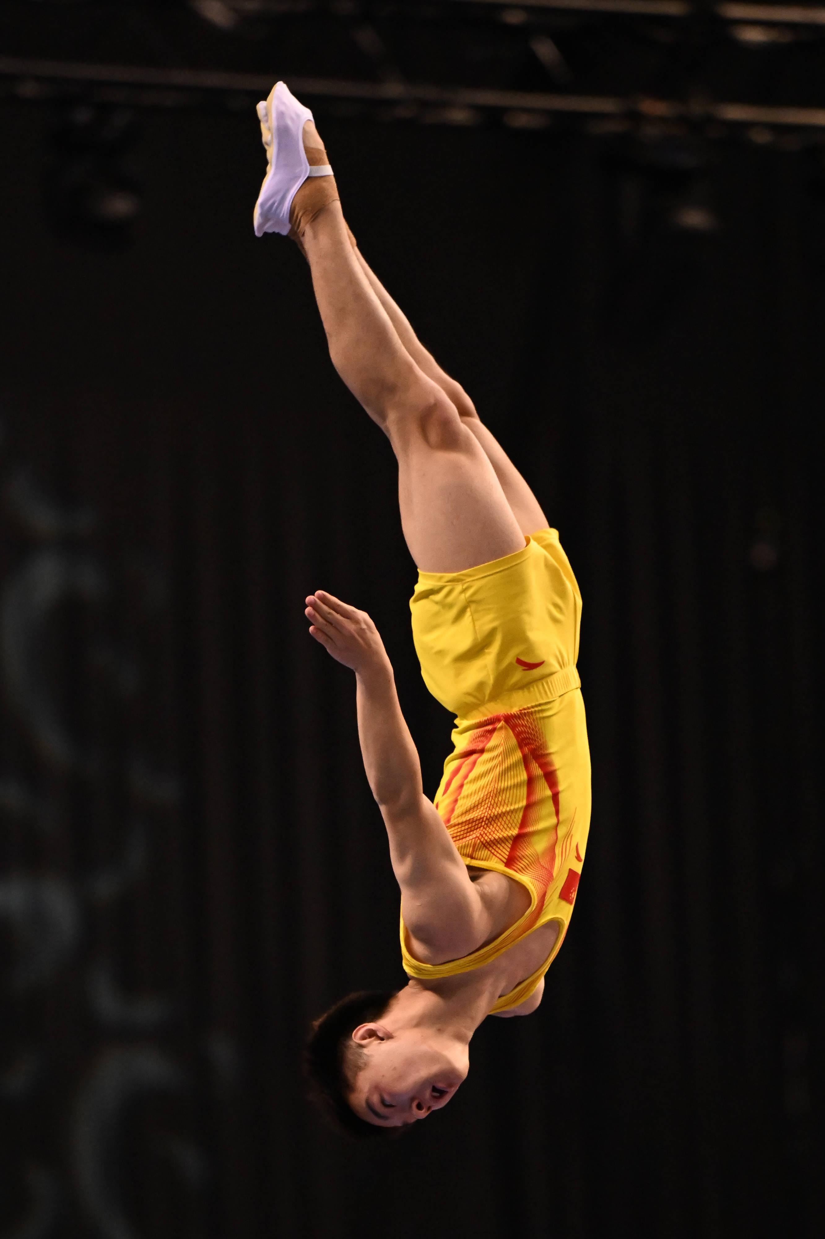 —世锦赛:收官日中国队收获三金