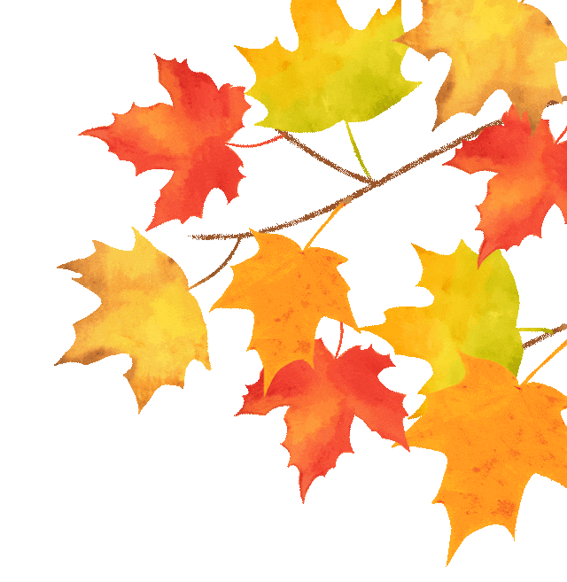 640_657gif 动态图 动图