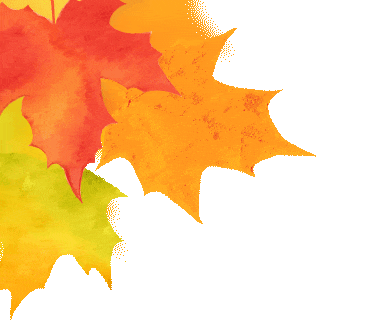 367_333gif 动态图 动图