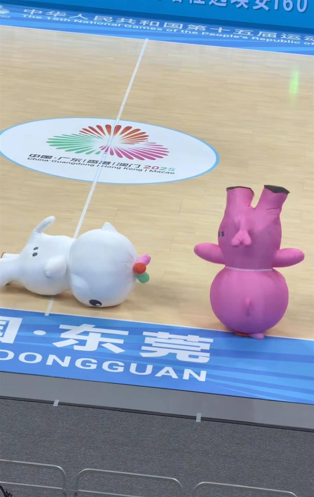 全运会“大湾鸡”意外走红，系40名“10后”武校学生扮演，被称为“史上最癫吉祥物”，总指挥：没想到会这么出圈