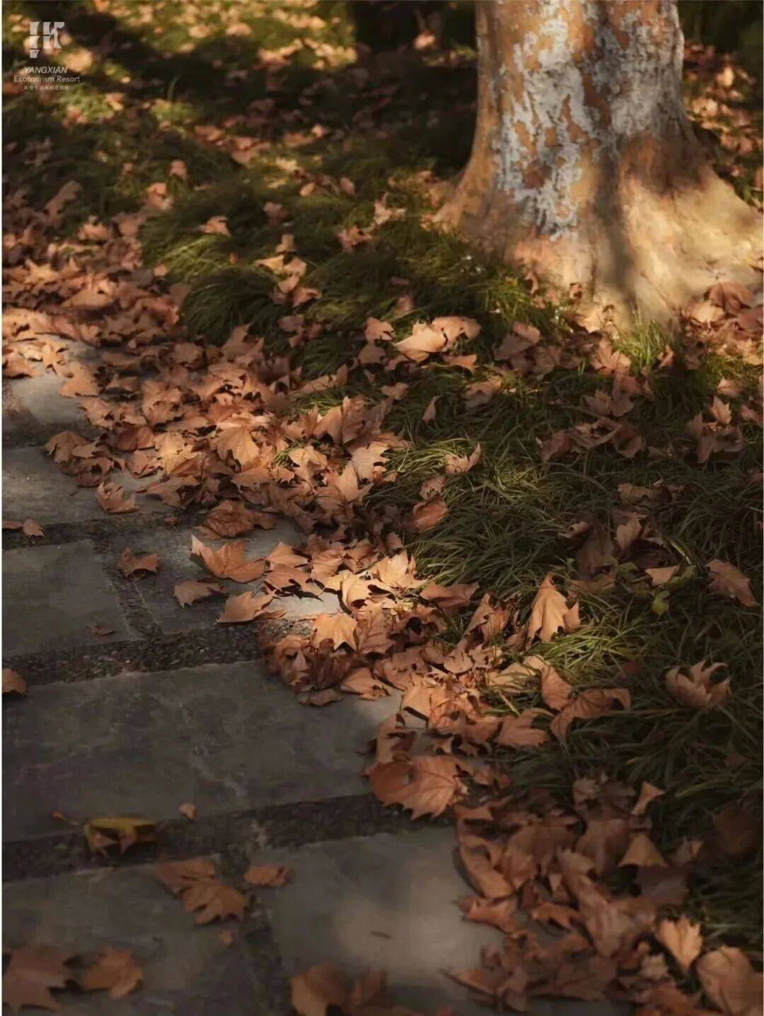 风景不基础天气基础一切都刚刚好不及盛夏喧嚷未至深冬萧瑟宜兴的