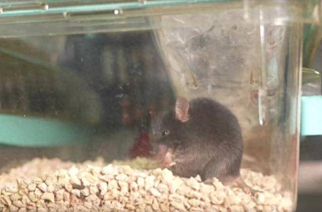 原创 计划有变!神舟22飞船即将无人发射,中国空间站到底发生了什么