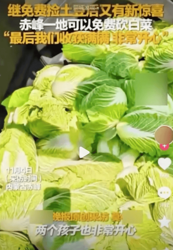 一则谣言毁了近200亩白菜,损失逾百万!责任谁担?