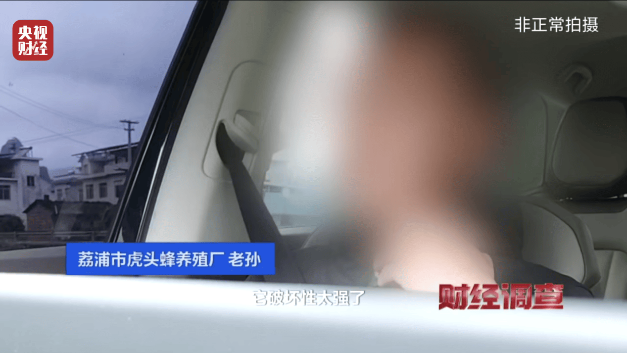 “杀人蜂”散养山头,无序滥养亟待监管,总台《财经调查》曝光→ “杀人蜂”散养山头,无序滥养亟待监管,总台《财经调查》曝光→