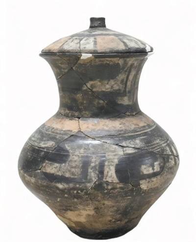 观展 溯源 探微（上新了）