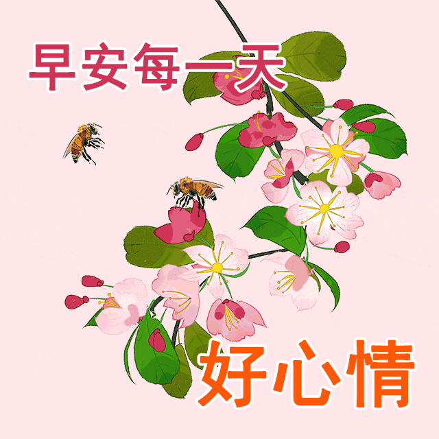 精选动态表情包祝福语图片,群发早上好祝福表情图!