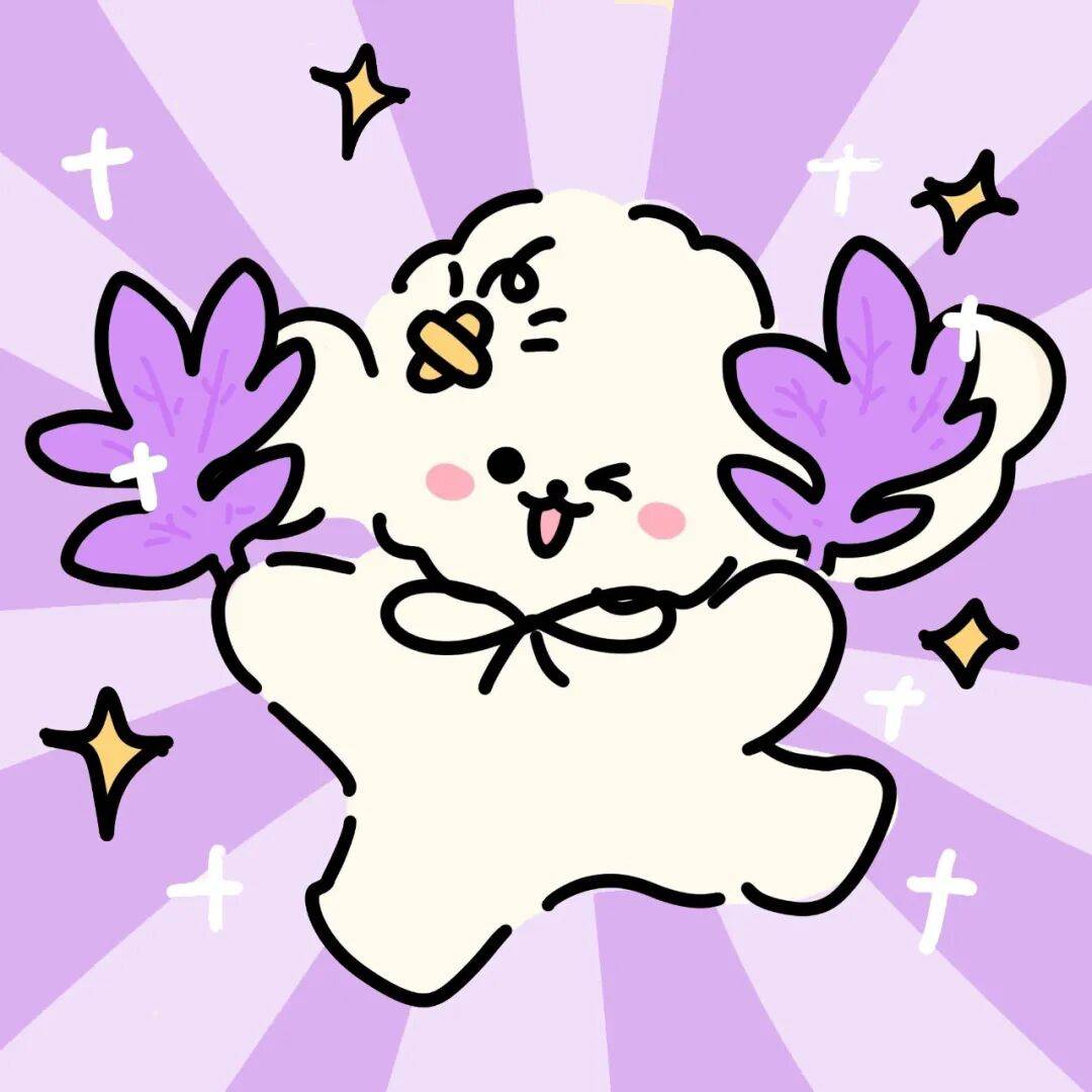 丨永久不换的微信头像