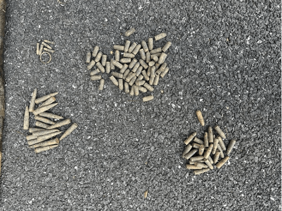 男子河边钓上108发子弹：本以为是钓上了大鱼