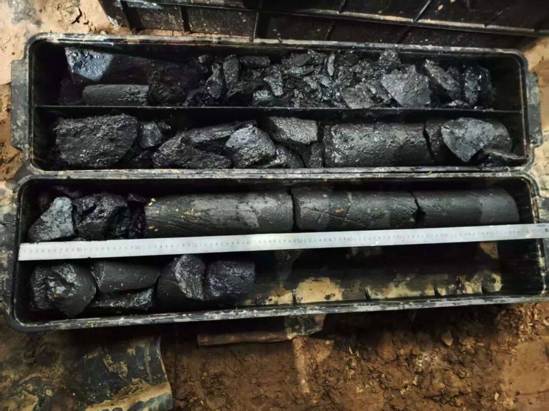 煤层水平段密闭取芯作业取出的岩芯。张志勇 摄11月13日，由渤海钻探钻井