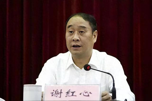 安徽通报：谢红心被查！