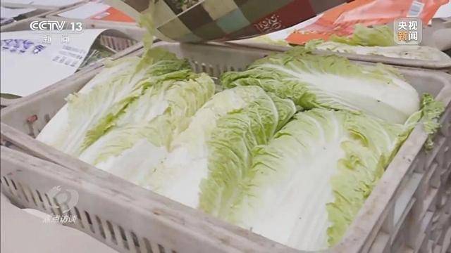 155元一棵白菜和9毛一斤的白菜一样?央视起底套牌菜