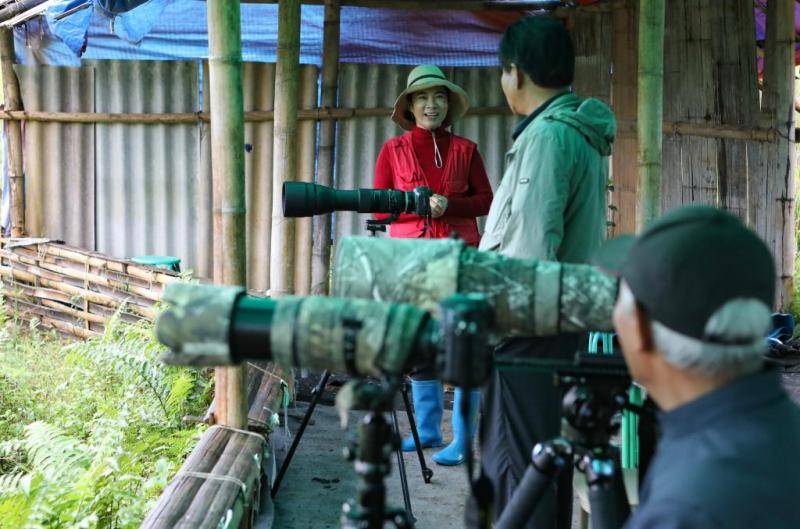 观鸟，不只是观鸟：云南绿水青山间的“新翅膀”