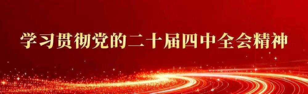 学习贯彻党的二十届四中全会精神·代表谈②