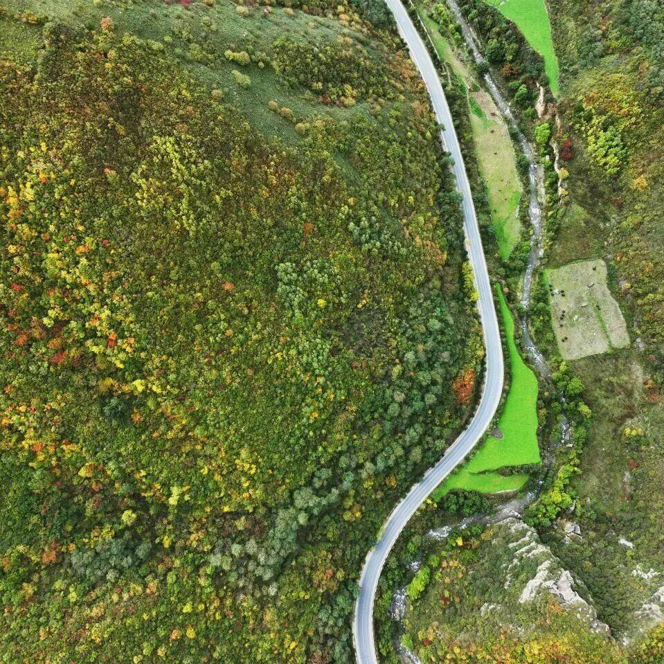 职工文苑 | 我家门前那条路_变化_洪流_远方