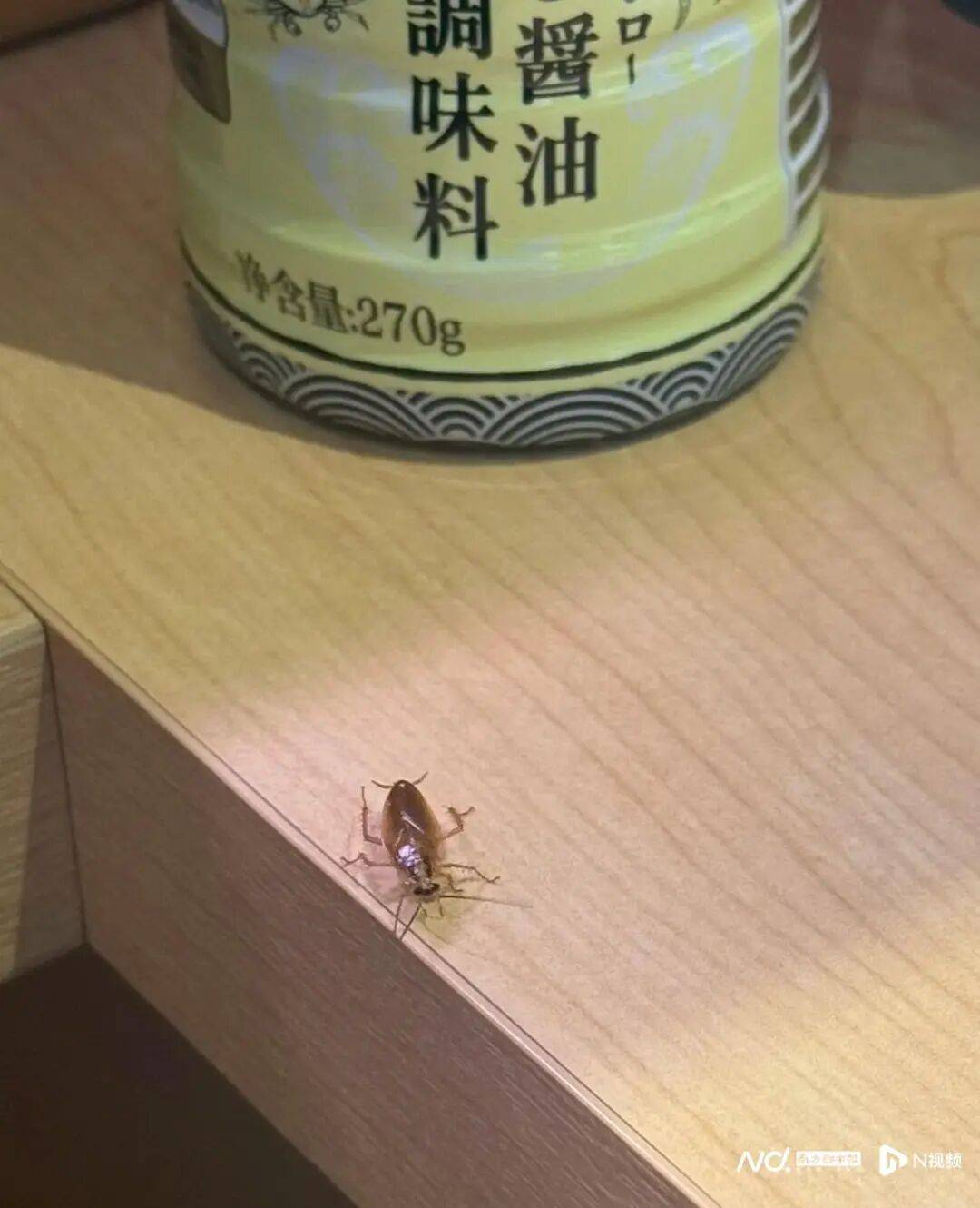 寿司郎广州门店就餐时突然出现蟑螂 涉事门店：