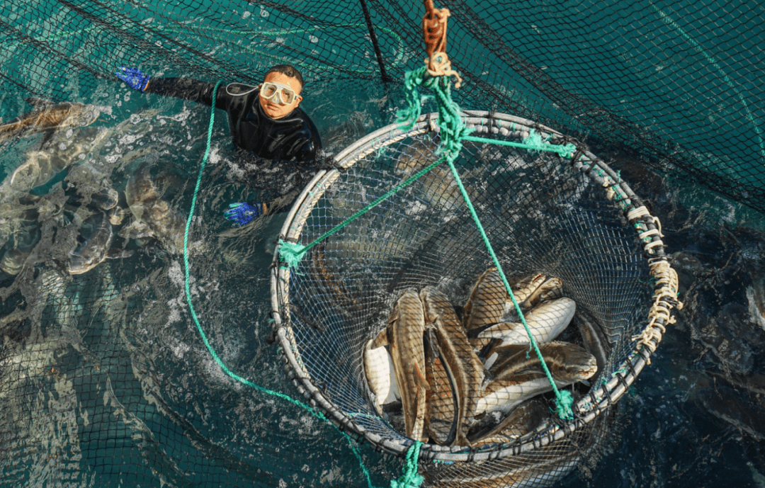 目标1万亿！再造一个“海上海南”