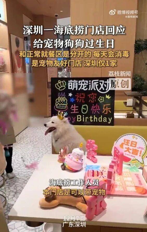 深圳一海底撈給寵物狗過生日！門店回應