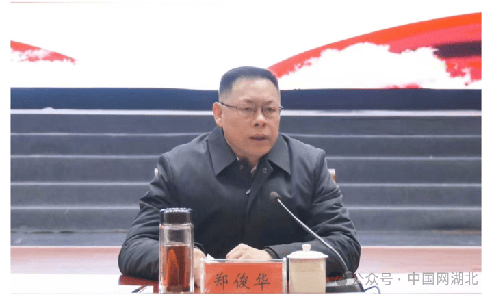 湖北省咸宁市崇阳县委书记、二级巡视员郑俊华被查