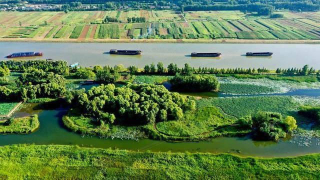 运河新韵｜千年大运河变身“绿色长廊”
