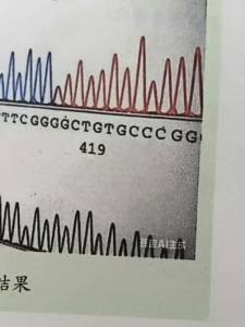 人工智能写的书,版权归谁?