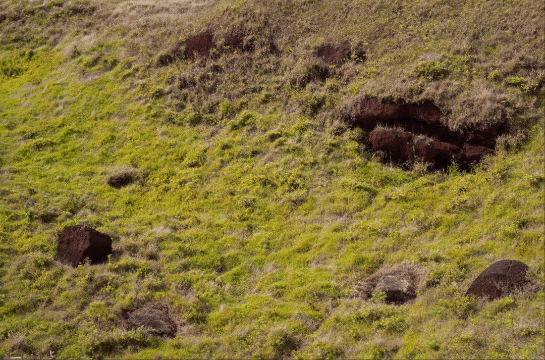 图片[40]-玩转这处小众神级海岛，真的不难！-华闻时空