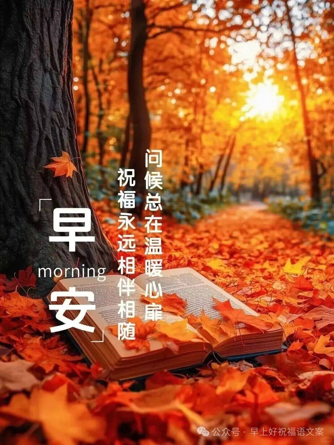2025年12月24日最新版早上好漂亮的问候祝福早安祝福图片身体倍加好