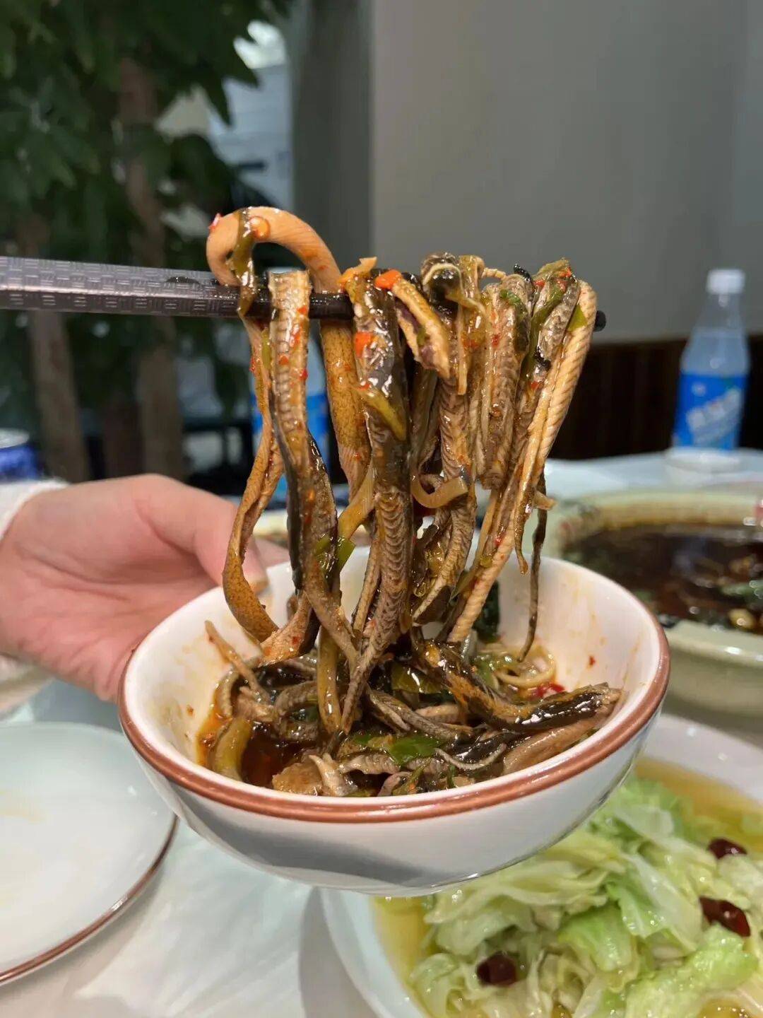 乐山这张鳝丝地图够你吃到明年