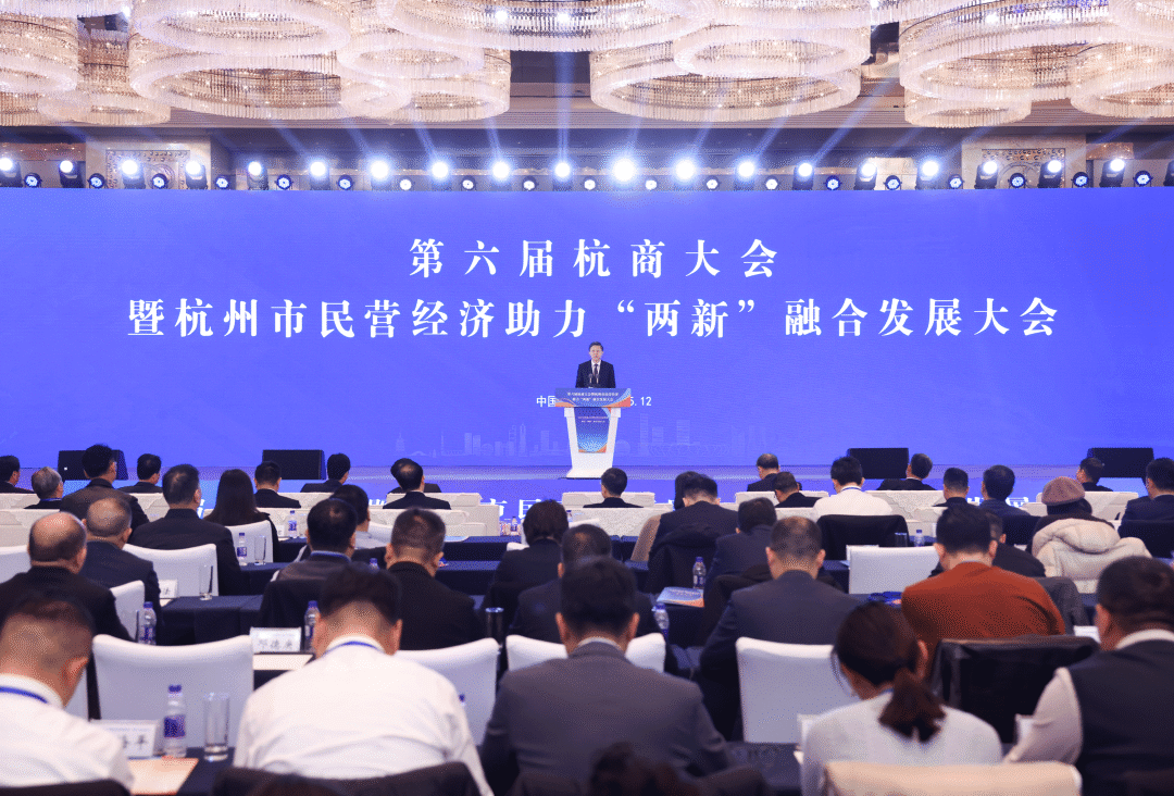 第六届杭商大会暨杭州市民营经济助力“两新”融合发展大会举行 刘非讲话_市场_新质_创新