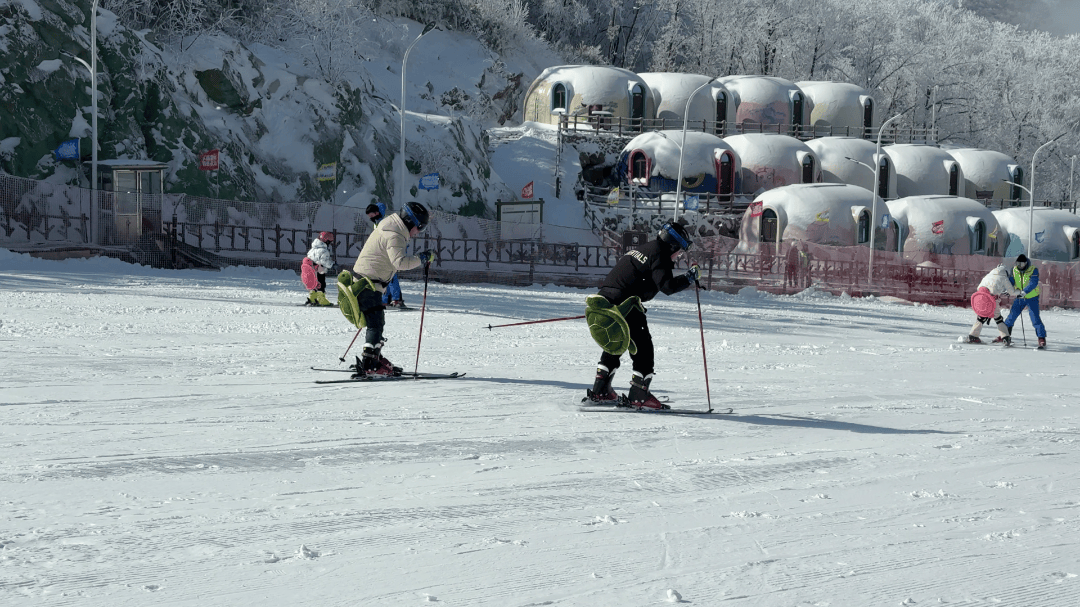 上雪道,过元旦!保康横冲国际滑雪场新年火爆迎客