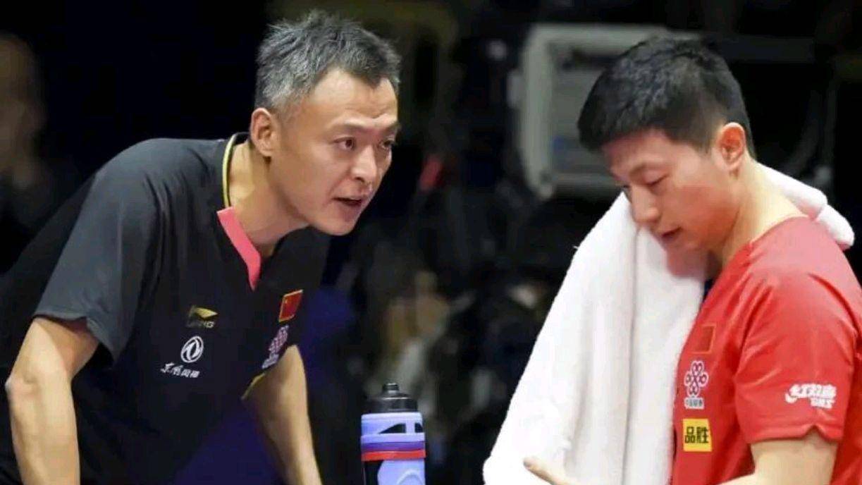 秦志戬_樊振东_马龙