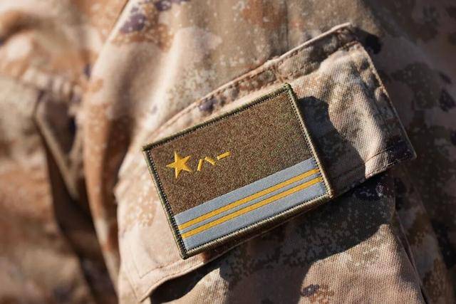 今天起，我军四大战略兵种正式启用兵种军旗臂章