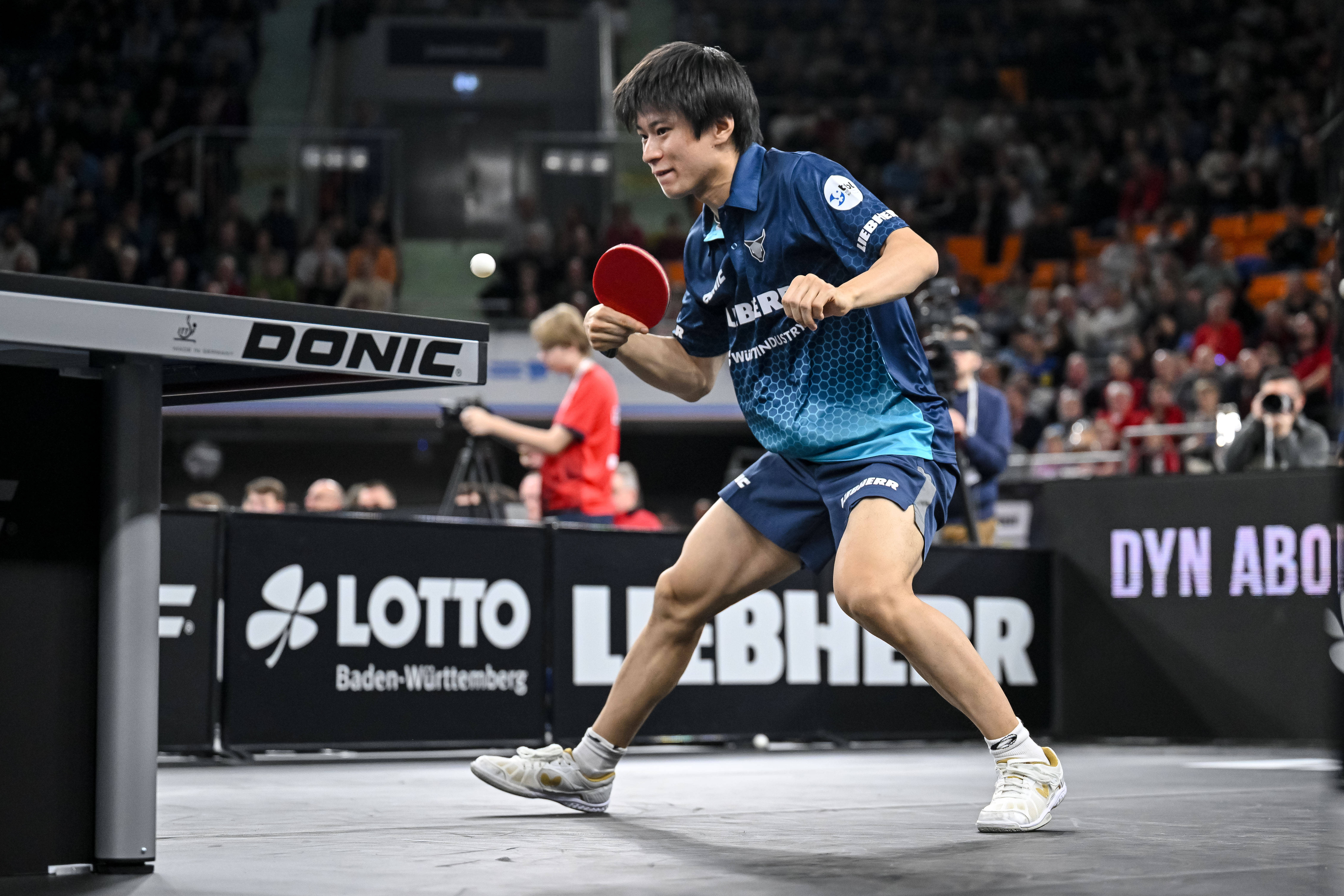 —樊振东率队晋级德国杯决赛