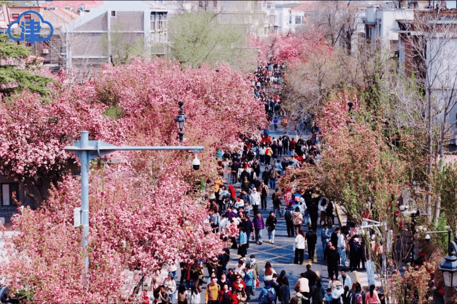 安宁区绘就感人都邑画卷：更新不拆墙只拆“次元壁” 跨界玩成“显眼包”
