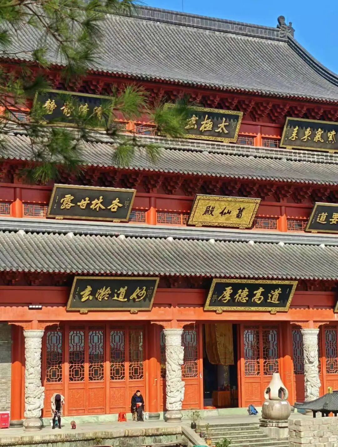 冬日山茶花海茅洋禅寺