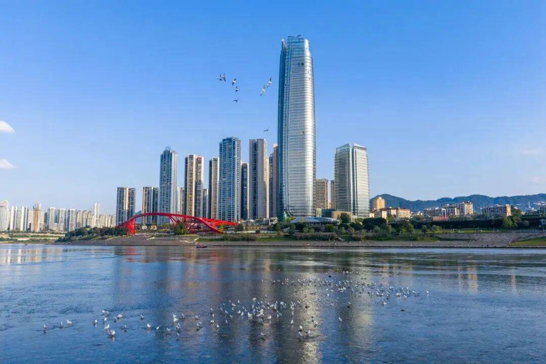 年春晚分会场！期待宜宾再次出圈麻将胡了试玩模拟器总台2026(图2)