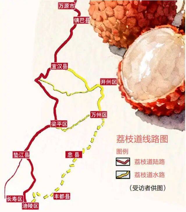 荔枝道并非“贵妃专线”_唐代_涪州_黔中