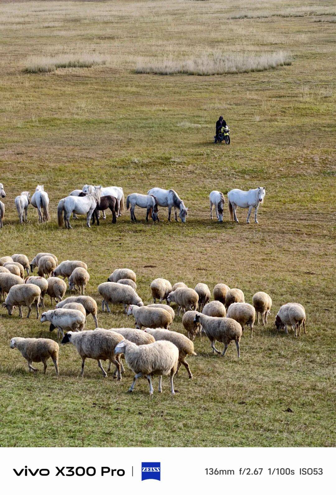 那些外国博主们，怎么突然开始吹中国手机了？？？
