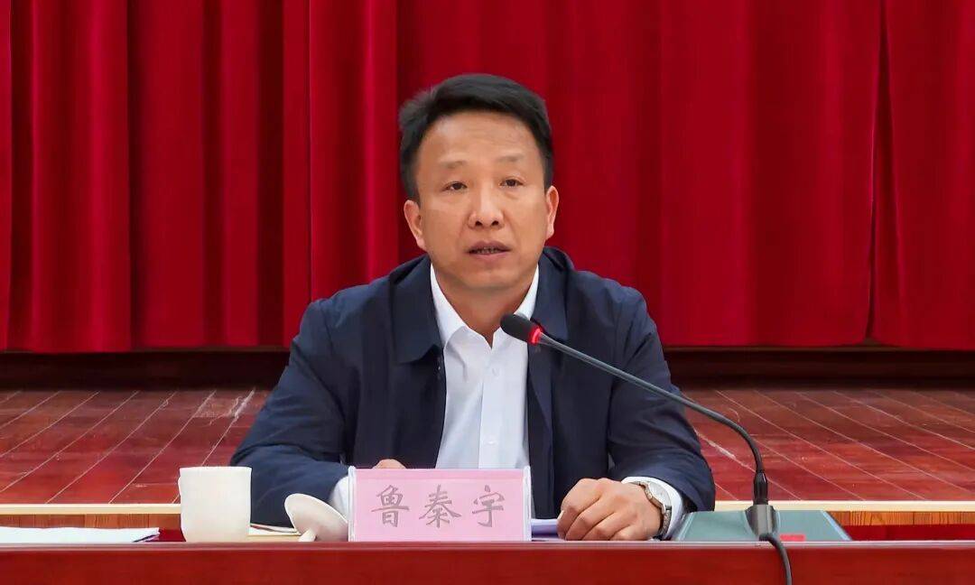 鲁秦宇(彝族)提名为县(区)人民政府县(区)长候选人_公示_同志_普洱