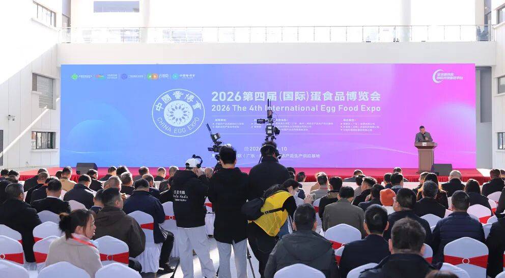破局同质化!京粉 6 号成为品牌农业的 “种源引擎”_产业_品质_蛋鸡