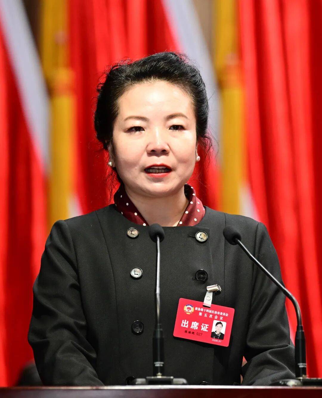 伟德体育(BetVictor Sports)国际官网市政协十四届五次会议第二次全体会议发言摘编