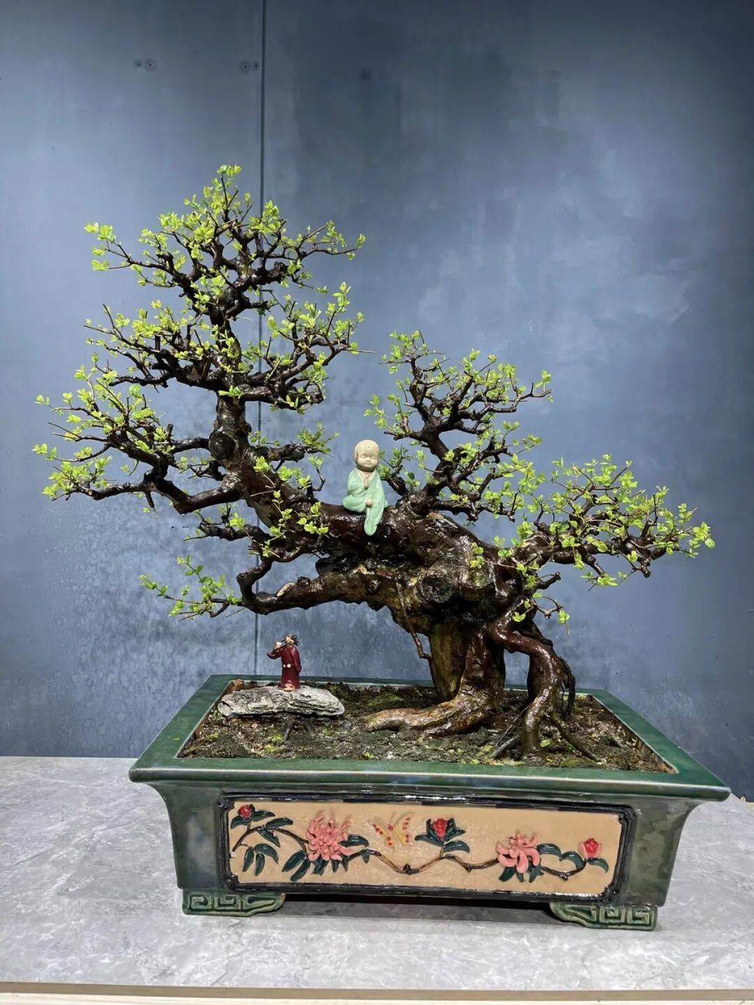 解惑雀梅盆景越剪越乱抓准两季修剪密码杂乱桩也能出精品